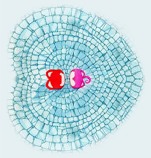 直到有一天我们相遇了